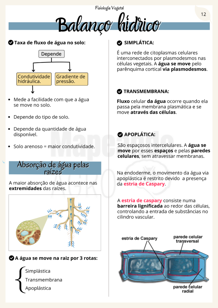 Fisiologia Vegetal (4)