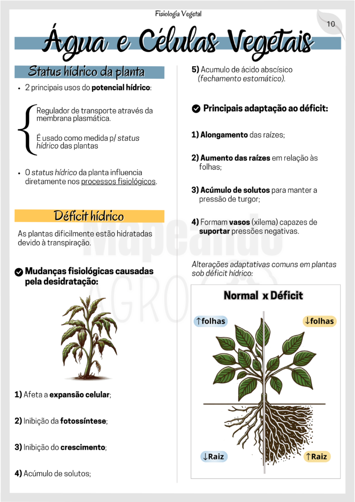Fisiologia Vegetal (Pa)) (1)
