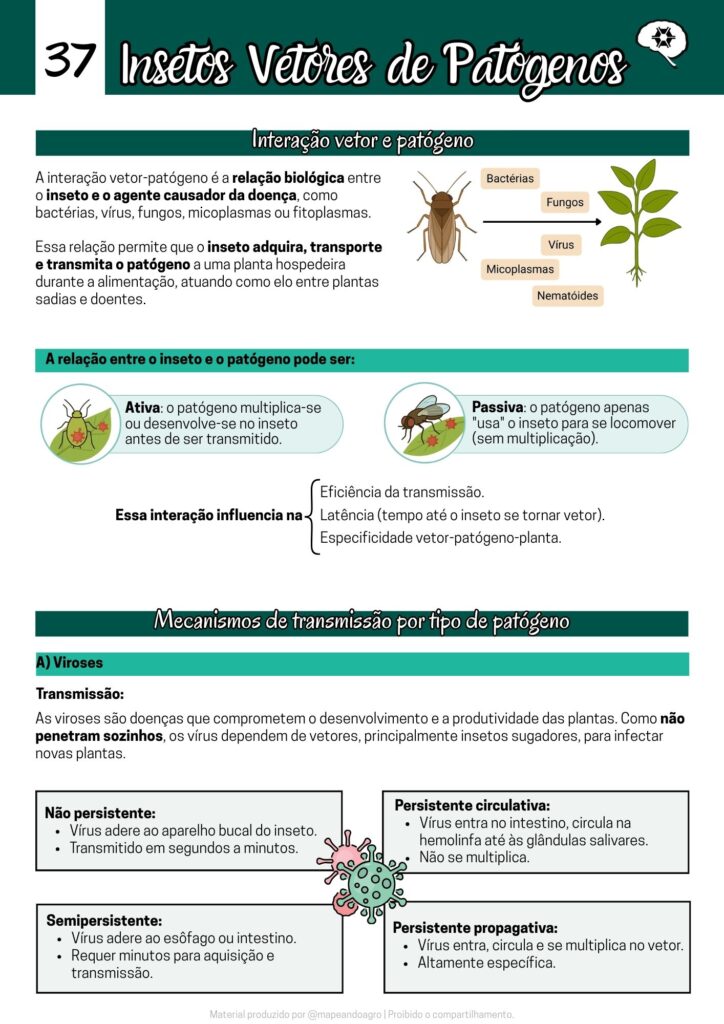 Entomologia Agrícola (3)